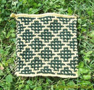 Beginner Knitted Dishcloth