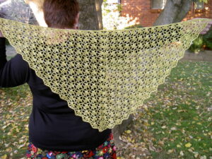 Crochet Shawl